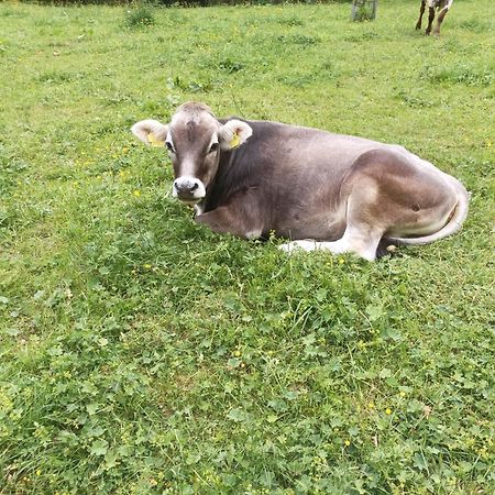 Ferienwohnung Hartlgut Bad Hofgastein Zewnętrze zdjęcie